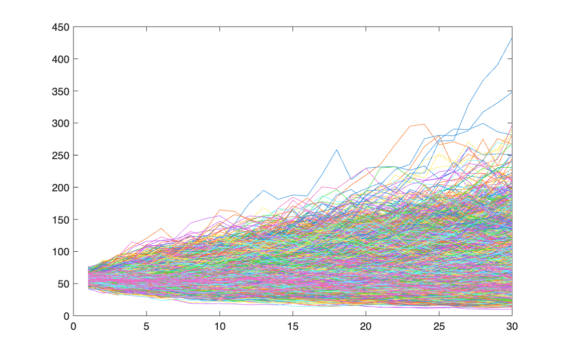 The 10,000 simulated price paths