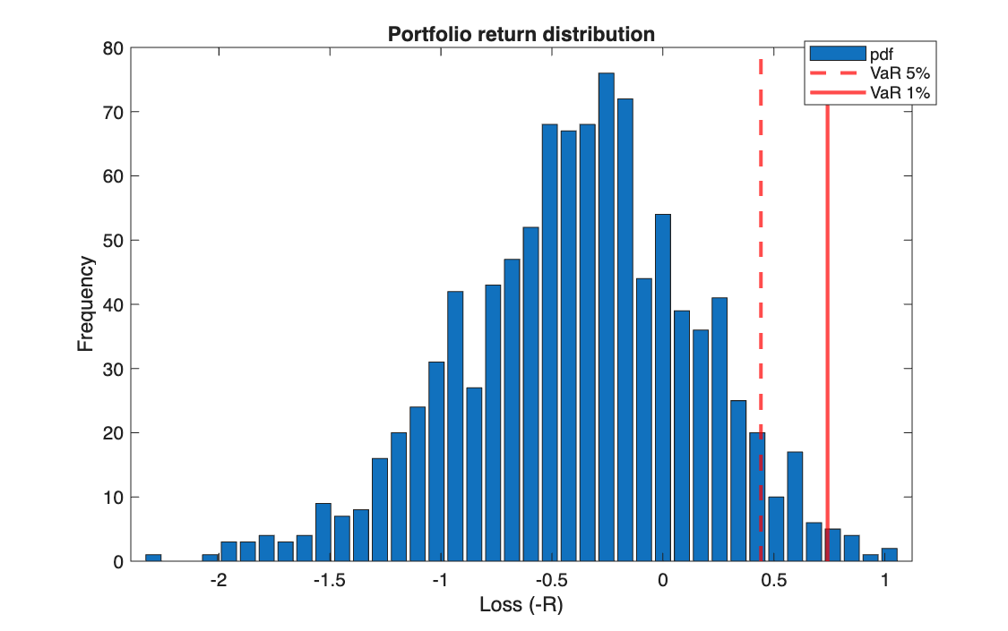 Distribution of the simulated return losses with the two VaR levels